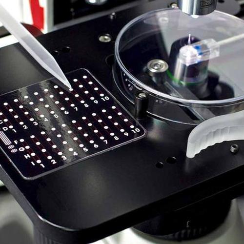 SporePlay+ Tetrad Dissection System